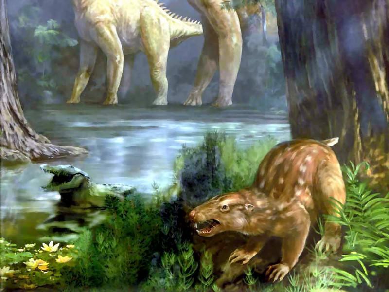 dinosaurs gobiconodon. Karen Carr