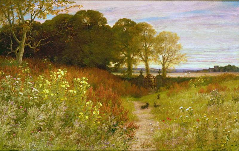 Landscape with Wild Flowers and Rabbits. Robert Collinson