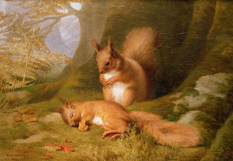 Squirrels in a Wood. Robert Collinson