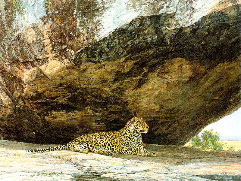 Леопард, притворяющийся камнем. Саймон Комб