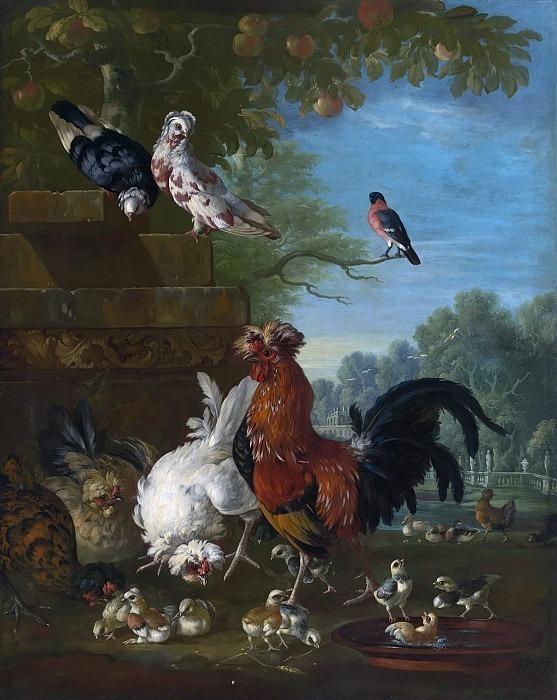 Домашний петух, куры и цыплята в парке