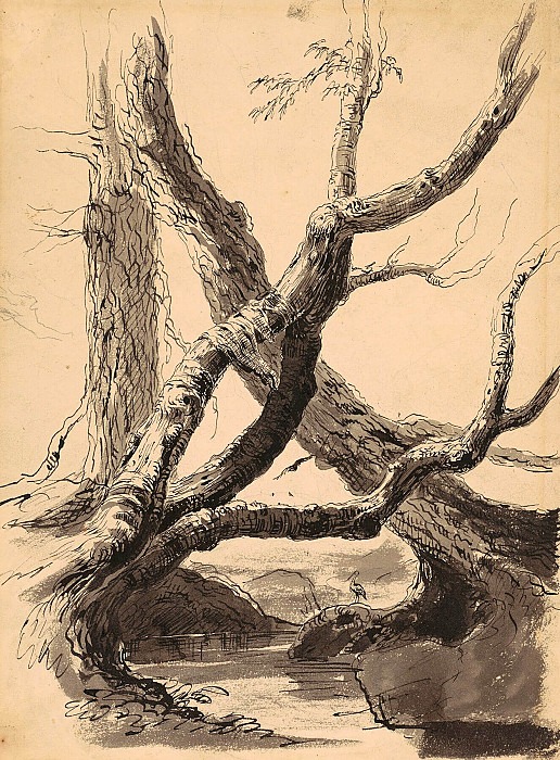 Tree Trunks, Thomas Cole