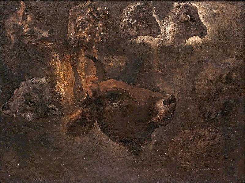 Эскизы голов животных, Томас Коул