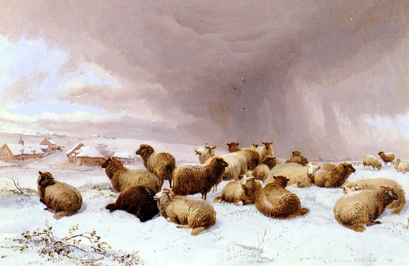 Sheep In Winter. Thomas Sidney Cooper