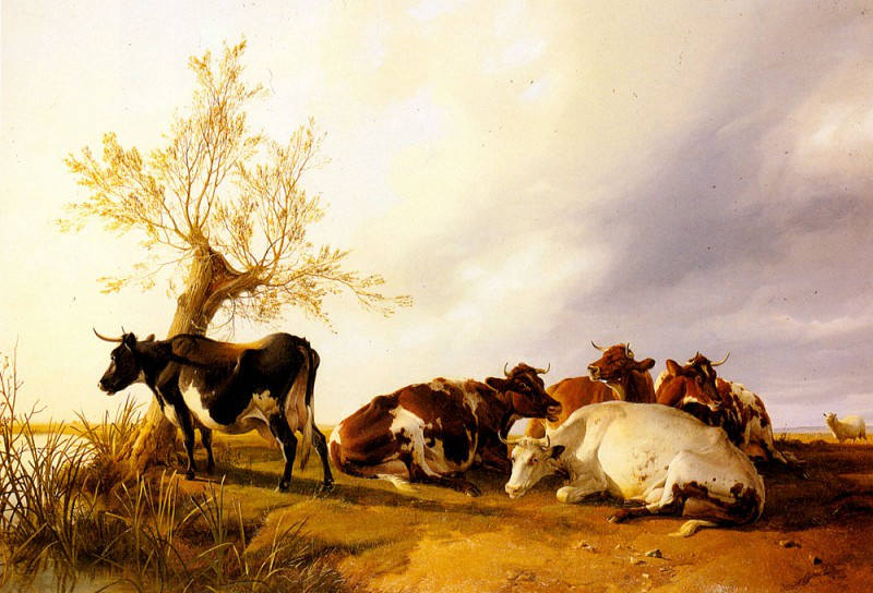 Отдыхающие дойные коровы. Томас Сидни Купер