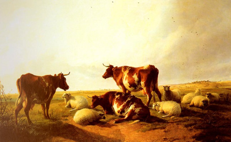 Пейзаж с коровами и овцами. Томас Сидни Купер