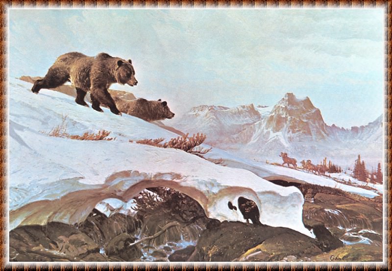 Снежное поле, 1968. Джон Клаймер