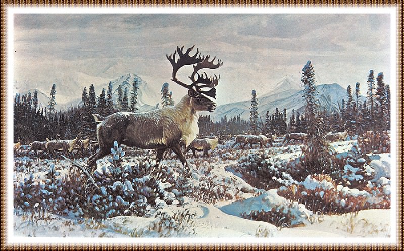 Caribou In Winter. John Clymer