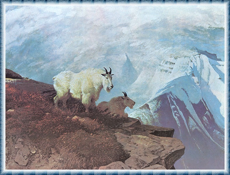 Местечко, подметенное ветром, 1973. Джон Клаймер