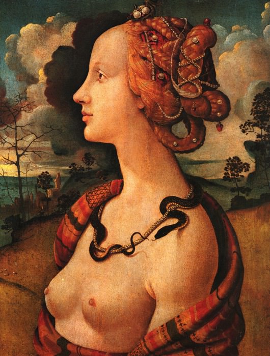 Portrait of Simonetta Vespucci c1480. Piero di Cosimo