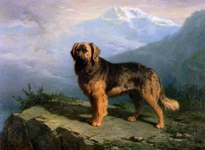 Mastiff in mountainous landscape. Conradyn Cunaeus