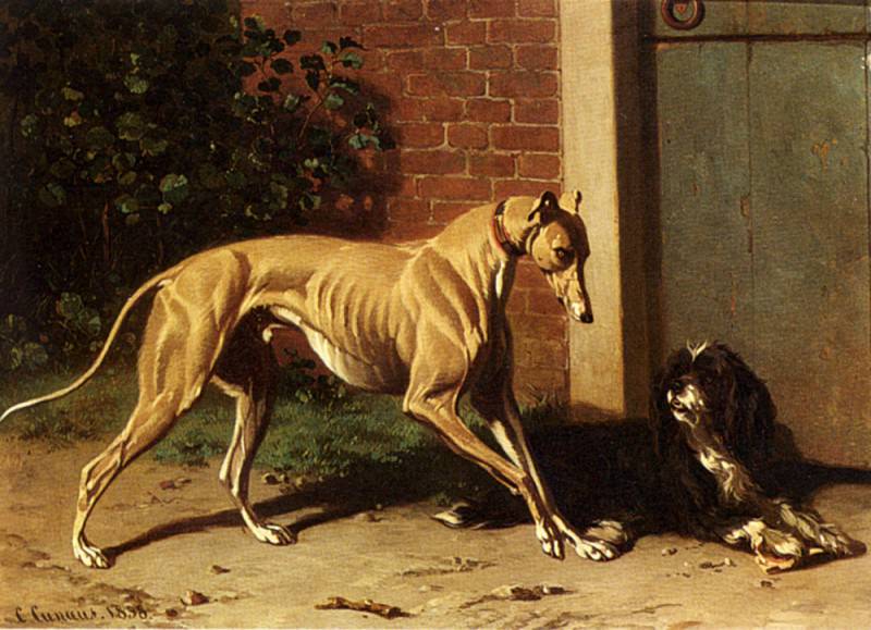 A Greyhound And A Shepherd Dog. Conradyn Cunaeus