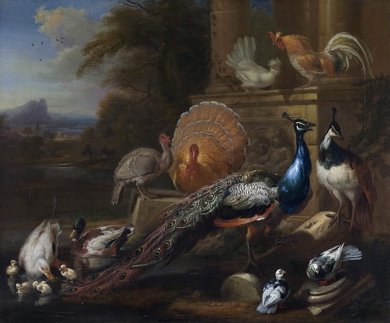 Peacocks, Doves, Turkeys, Chickens and Ducks by a Classical Ruin. Marmaduke Cradock