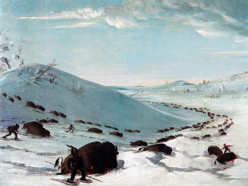 Sioux Lancing Buffalo. George Catlin