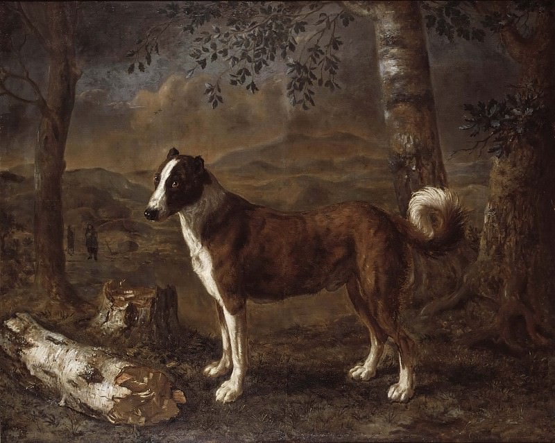 Dog and a Birch Log, Govert Dircksz Camphuysen