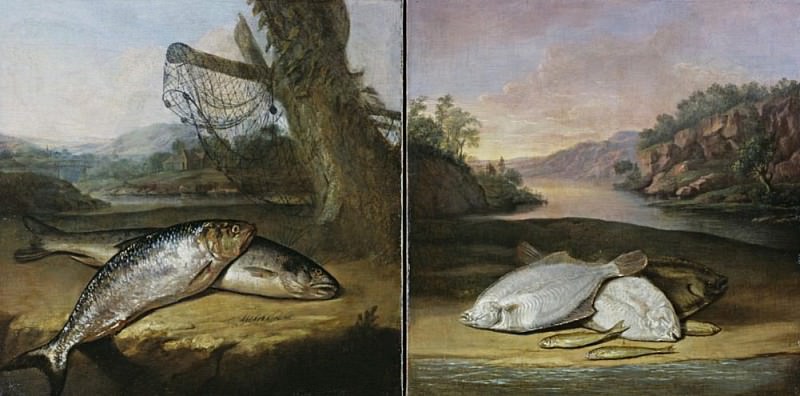 Two fish paintings. Arthur William Devis