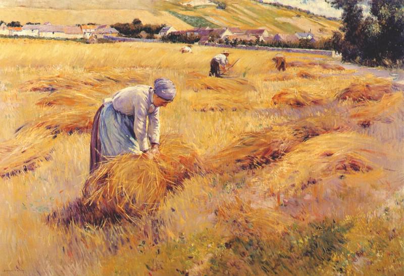 Harvest time. Dawson Dawson-Watson