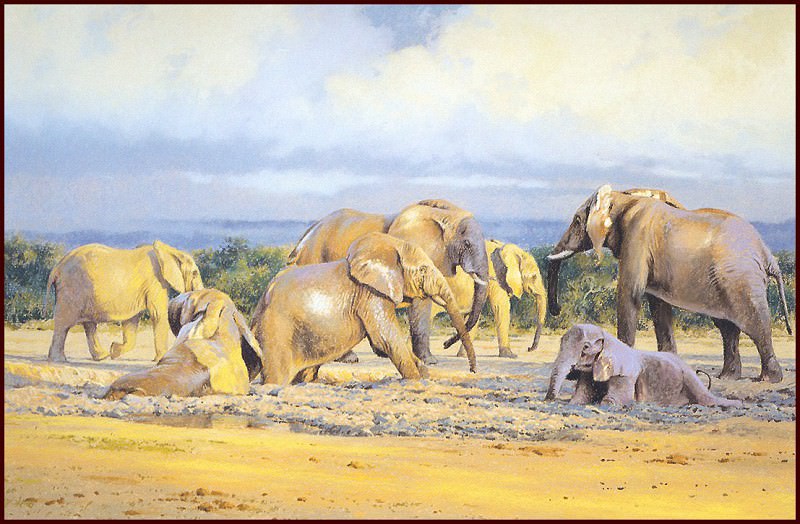 Слоны, принимающие грязевую ванну. Ким Дональдсон
