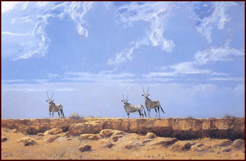 Gemsbock Kalahari. Kim Donaldson