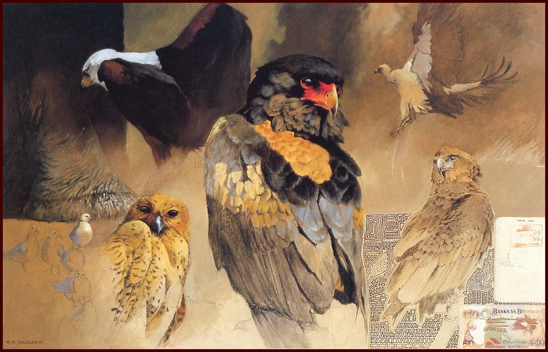 Хищные птицы Африки. Ким Дональдсон