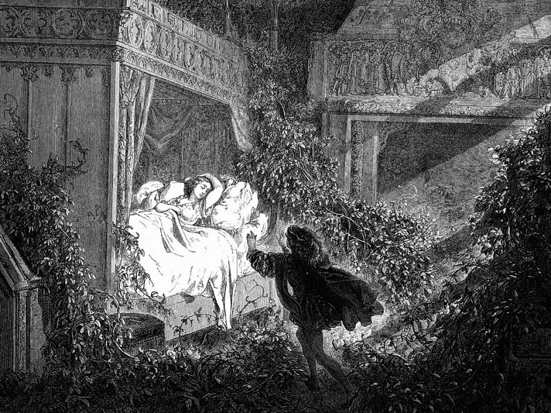 Reclining Upon A Bed Was A Princess Of Radiant Beauty. Gustave Dore
