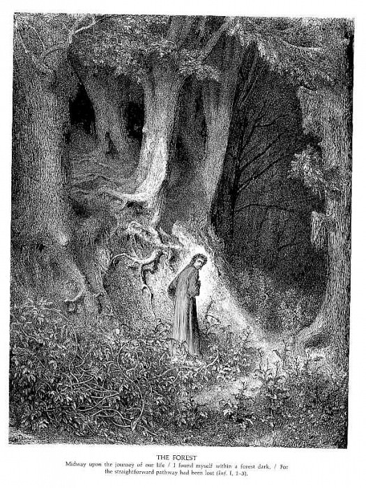The Forest. Gustave Dore
