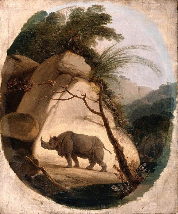 Индийский носорог. Томас Дэниэл