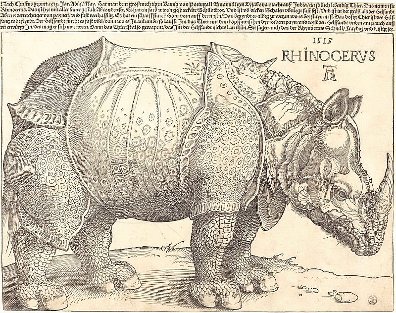 Rhino. Durer Engravings