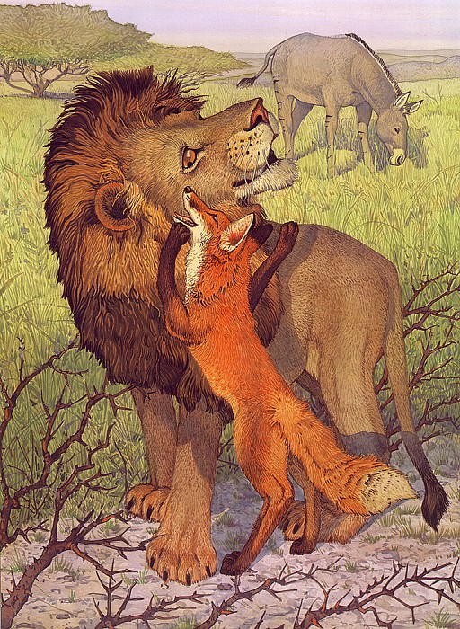 Ass Fox & the Lion. Don Daily