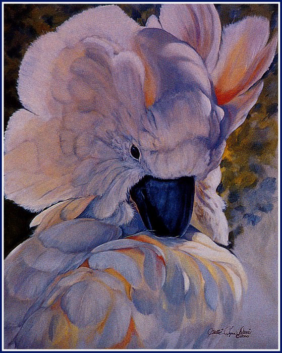 Молукский попугай. Салли Линн Дэвис