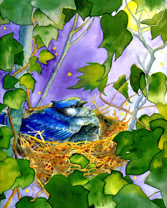 Time For Bed Little Bird. Jane Dyer