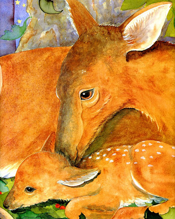 Time For Bed Tb 0013 Little Deer. Jane Dyer