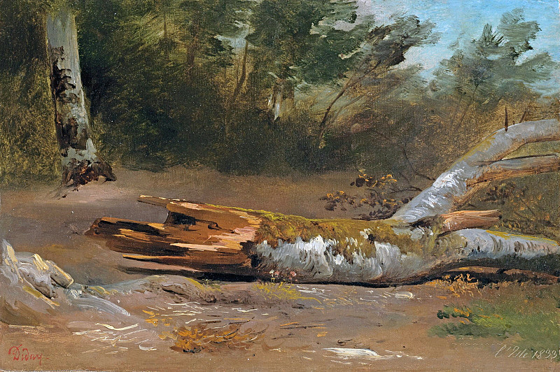 Forest with Tree Trunk (L’jsle). Francois Diday