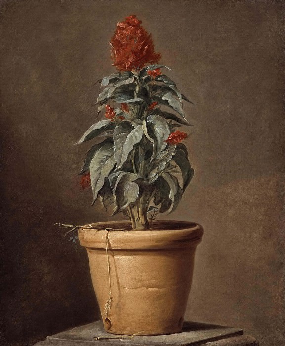 A Potted Plant. Henri-Horace Roland Delaporte (Attributed)