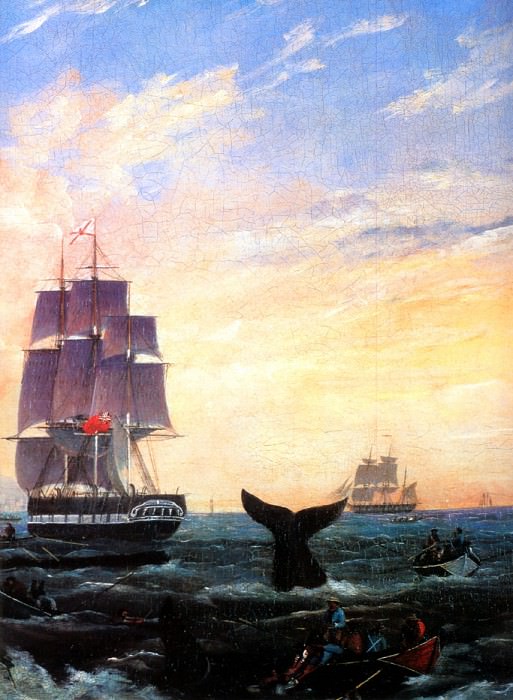 MPA William Duke Offshore Whaling with the Aladdin and Jane, 1849- sqs. William Duke ( R )