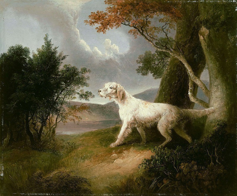 Пейзаж с собакой