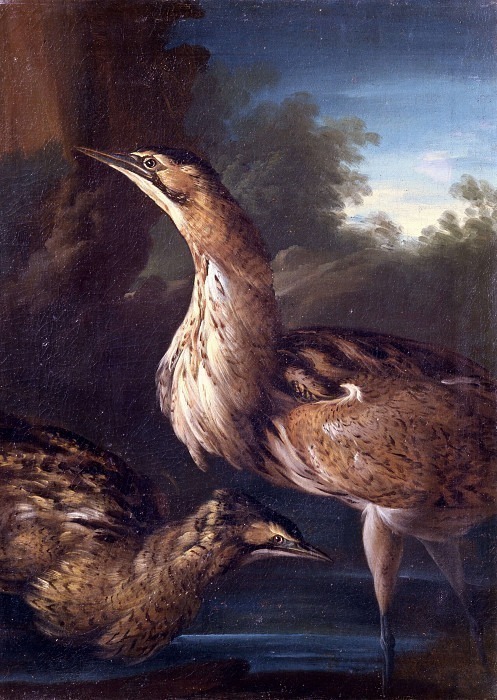 River birds. Giorgio Duranti