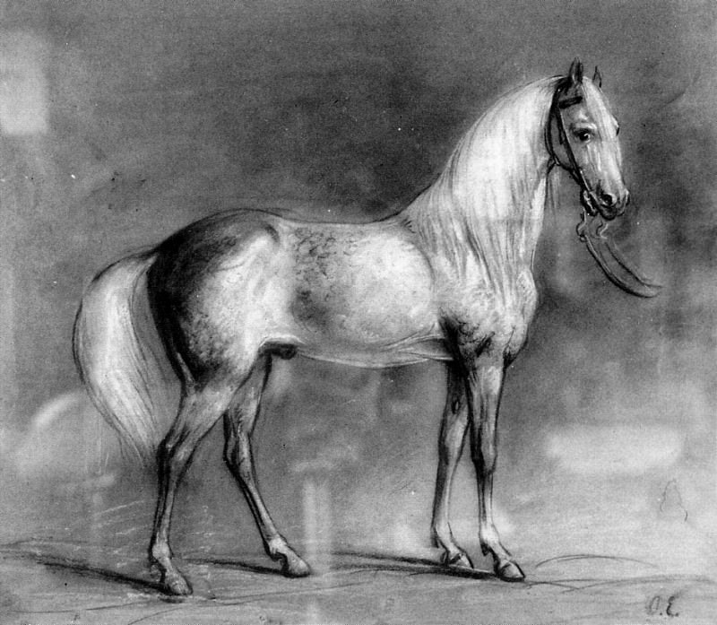 Greyhorse. Otto Eerelman