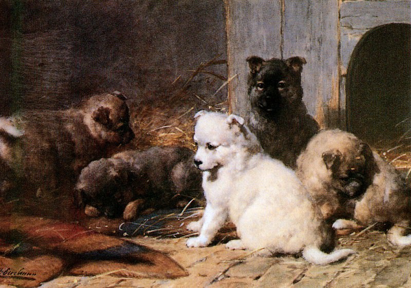 Five little pupies. Otto Eerelman