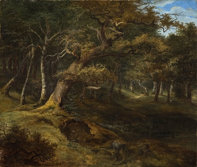 Охота на зайца в буковом лесу. Кристиан Эзддорф