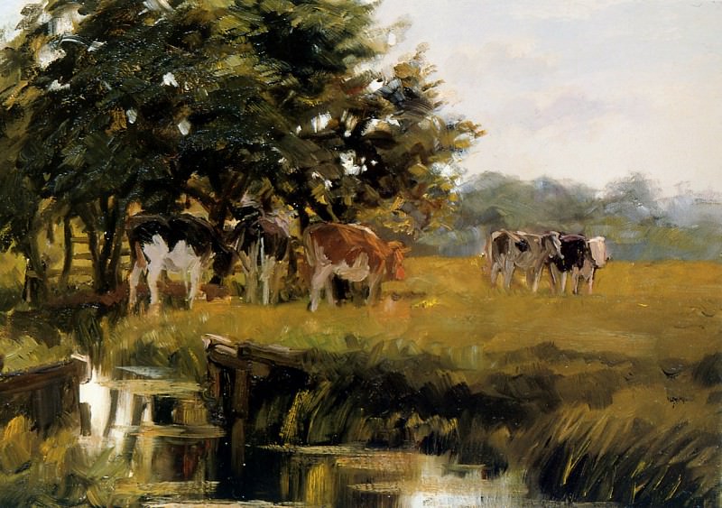 Cows in meadow. Freek Engel