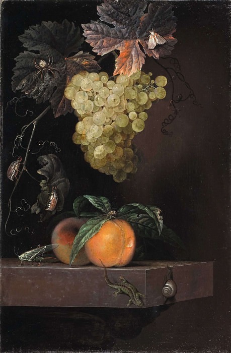 Still Life with Fruit, Lizard and Insects. Ottmar Elliger
