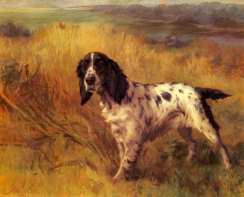 Earl Maud A Setter On Point. Мод Граф