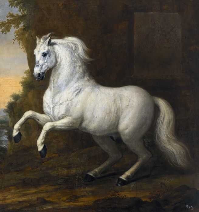 Karl XI’s life horse. David Klöcker Ehrenstråhl