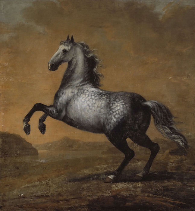 KarlXI's life horse — The Little Englishman. David Klöcker Ehrenstråhl