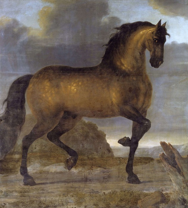 Karl XI’s life horse Capricorn. David Klöcker Ehrenstråhl