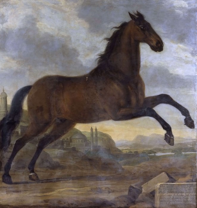 Конь Карла XI Султан. Давид Клёккер-Эренстраль