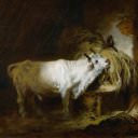 The white bull in the stable, Jean Honore Fragonard
