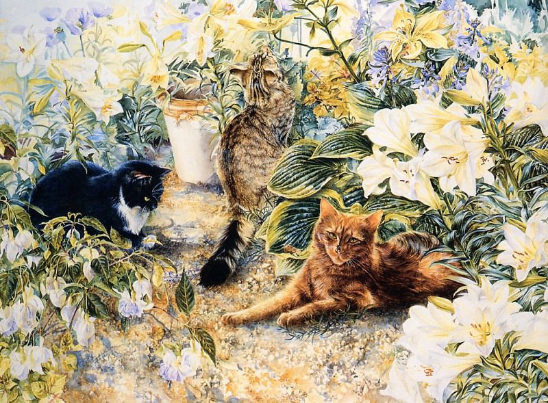 Fotherby, Lesley - Cats (end. Lesley Fotherby