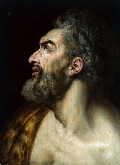 Study Head of a Bearded Man. Frans Floris